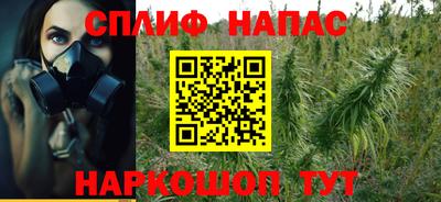 прущие грибы Чебаркуль