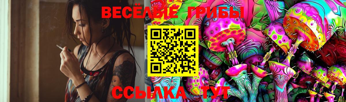 Галлюциногенные грибы Cubensis Кызыл