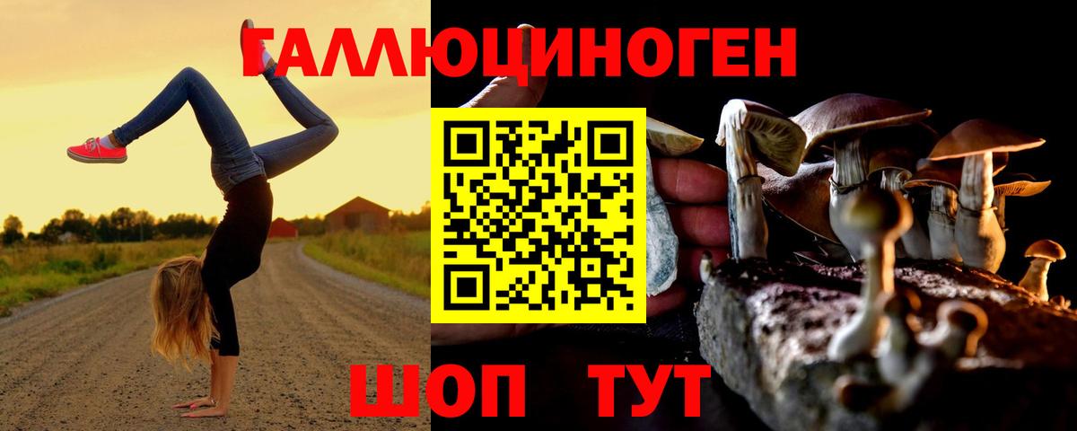 Галлюциногенные грибы мицелий  Вход с VPN  наркотики  Кызыл  Псилоцибиновые грибы GOLDEN TEACHER 